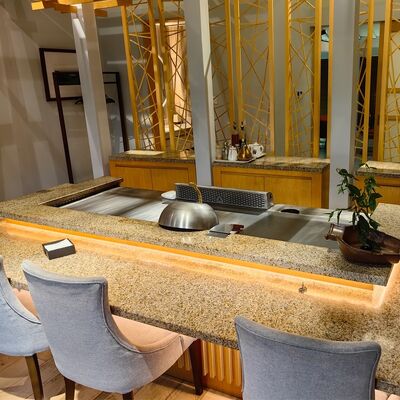 1200*850*800mmサイズの食品グレード合金鋼と電気/ガス加熱を備えた業務用鉄板焼きグリルテーブル