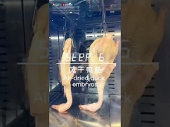 熱風 多機能ディスプレイ 焼き鳥 鶏 ダック 羊 焼くオーブン